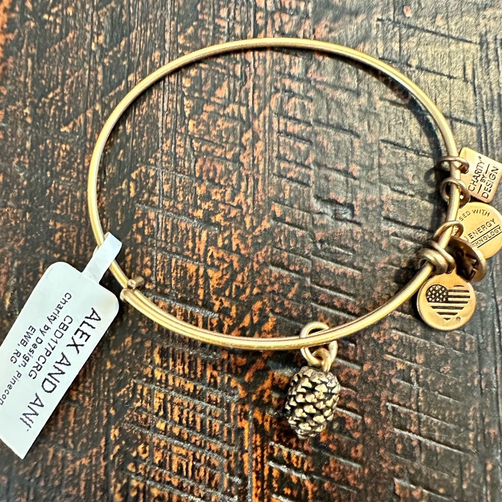 NWT Alex and Ani Matte Gold Acorn Charm Bangle Bracelet